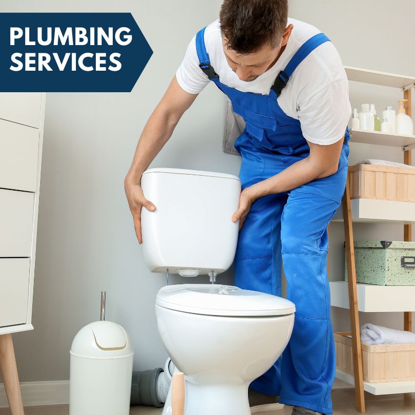 Plumbing Company in Stanwood, IA